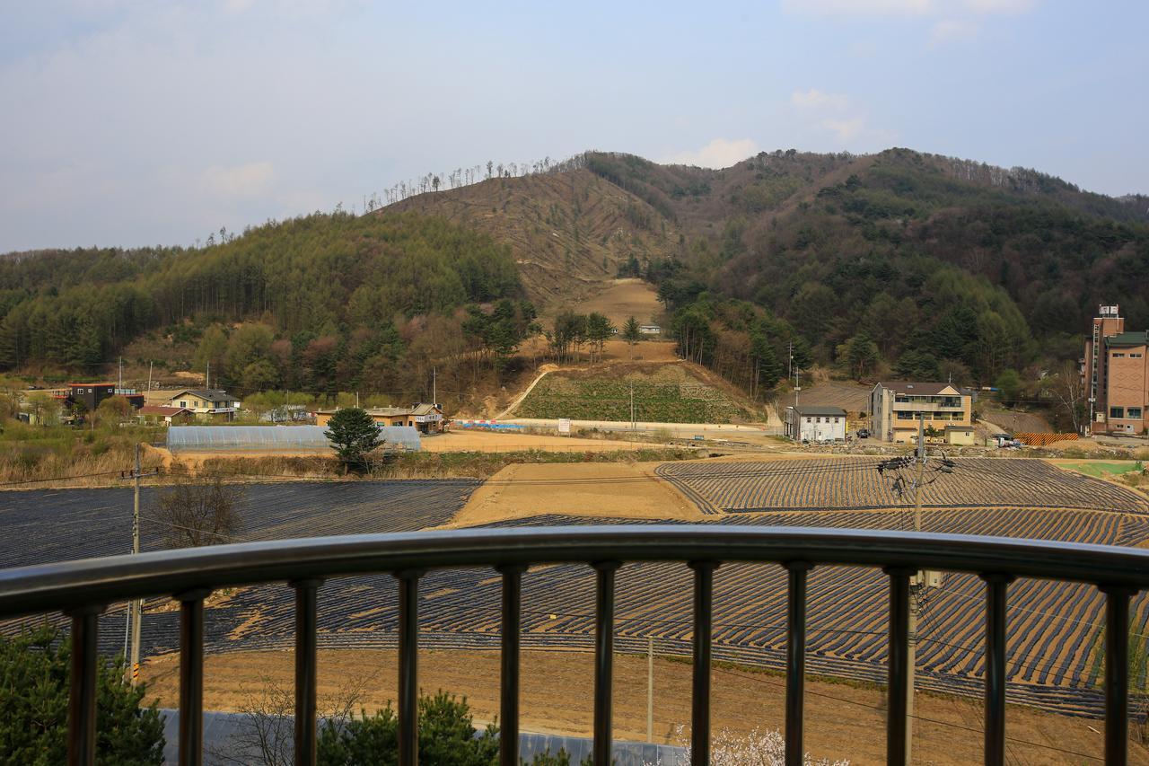 Boosung Motel 平昌郡 エクステリア 写真